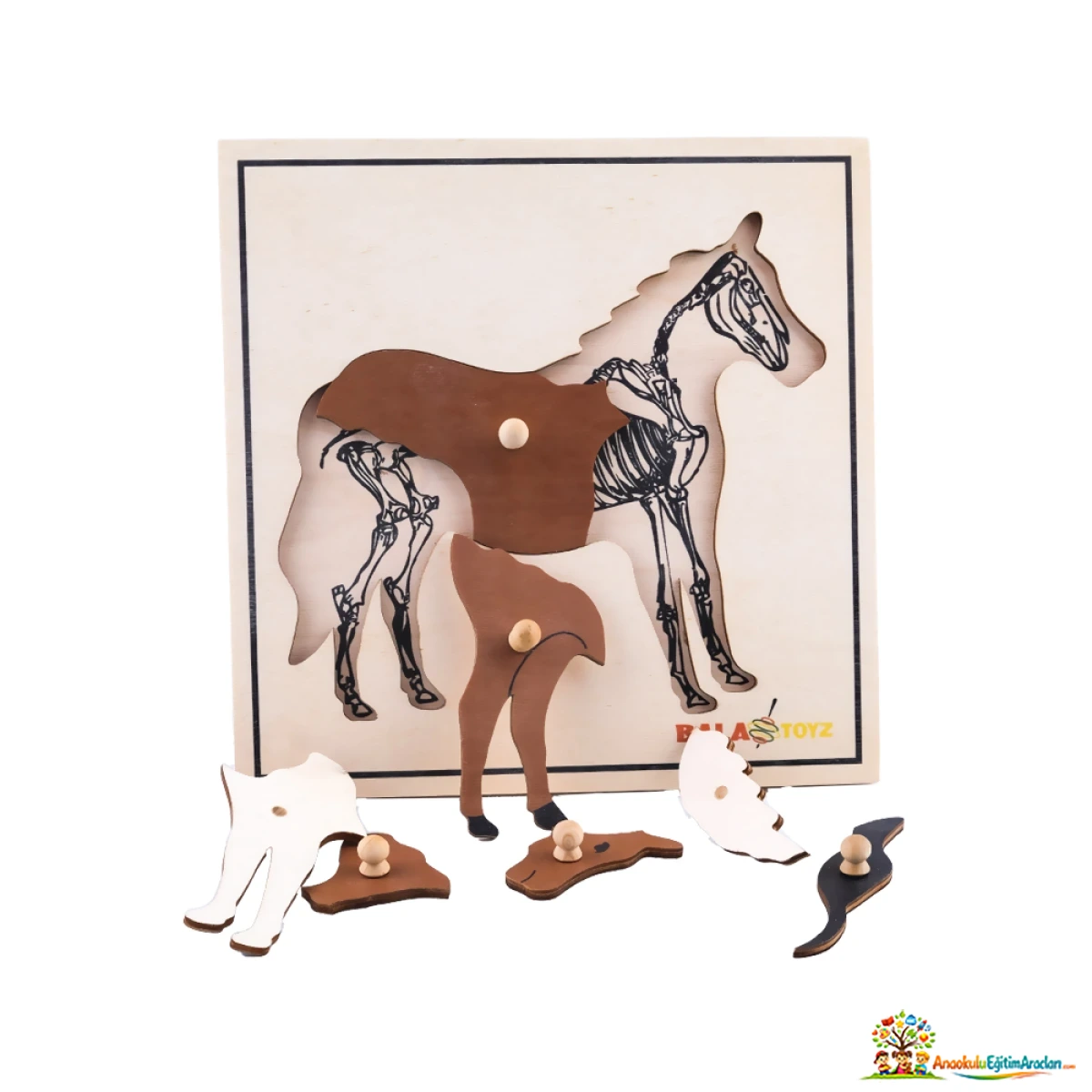 Montessori At Puzzle – Hayvan Anatomisi ve Kozmik Eğitim Materyali ATP-587