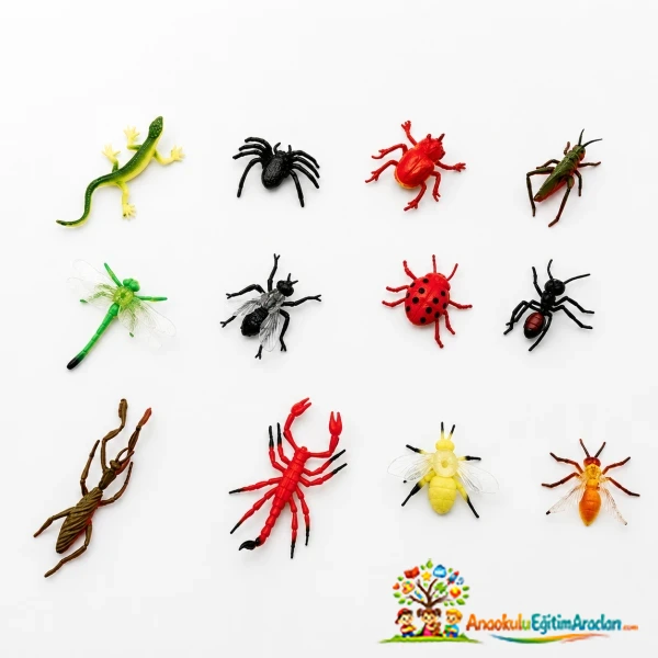 Insect World Böcekler Serisi 2 – 12 Parça Okul Öncesi Doğa Keşif Seti