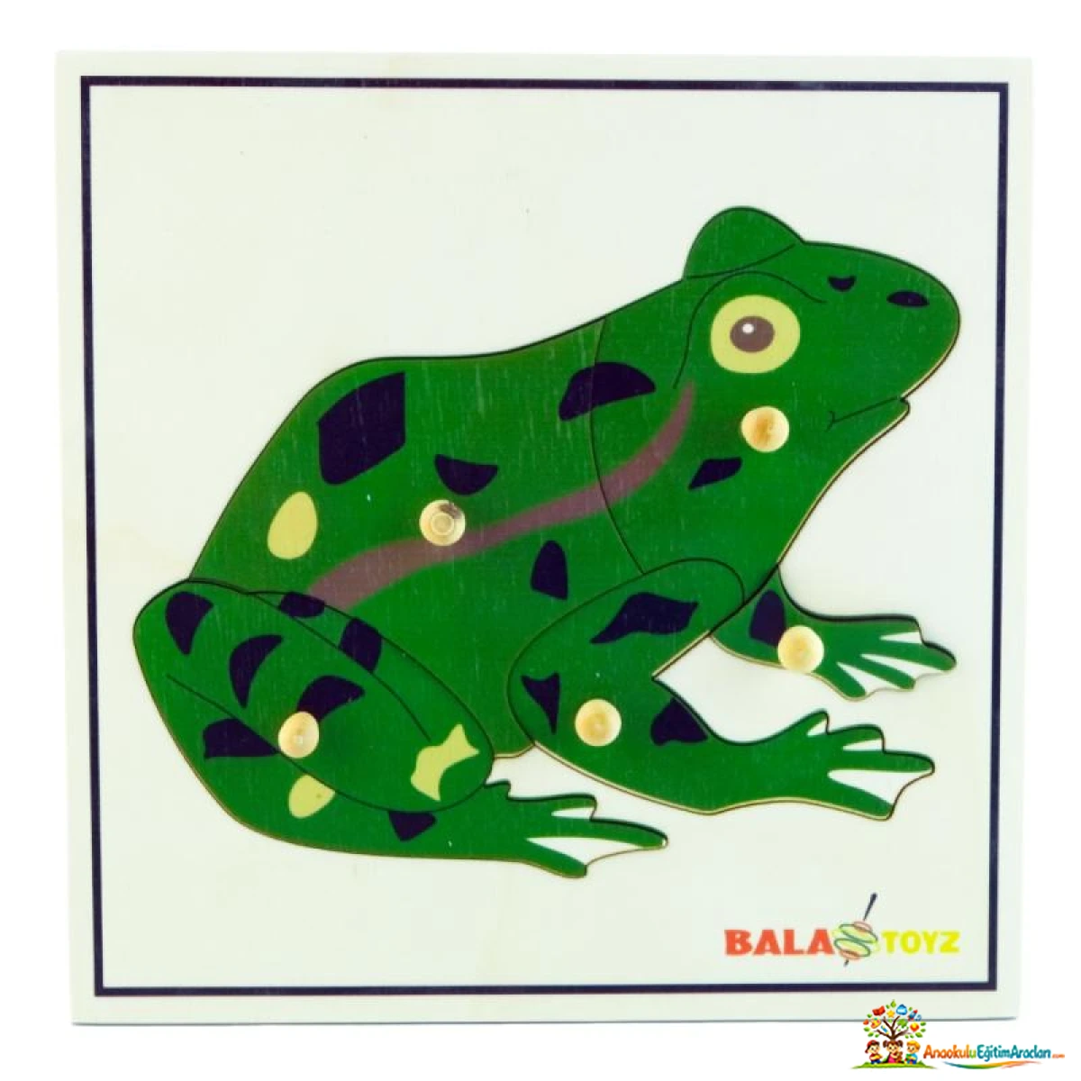 Montessori Kurbağa Puzzle – Hayvan Anatomisi ve Kozmik Eğitim Materyali KBG-735