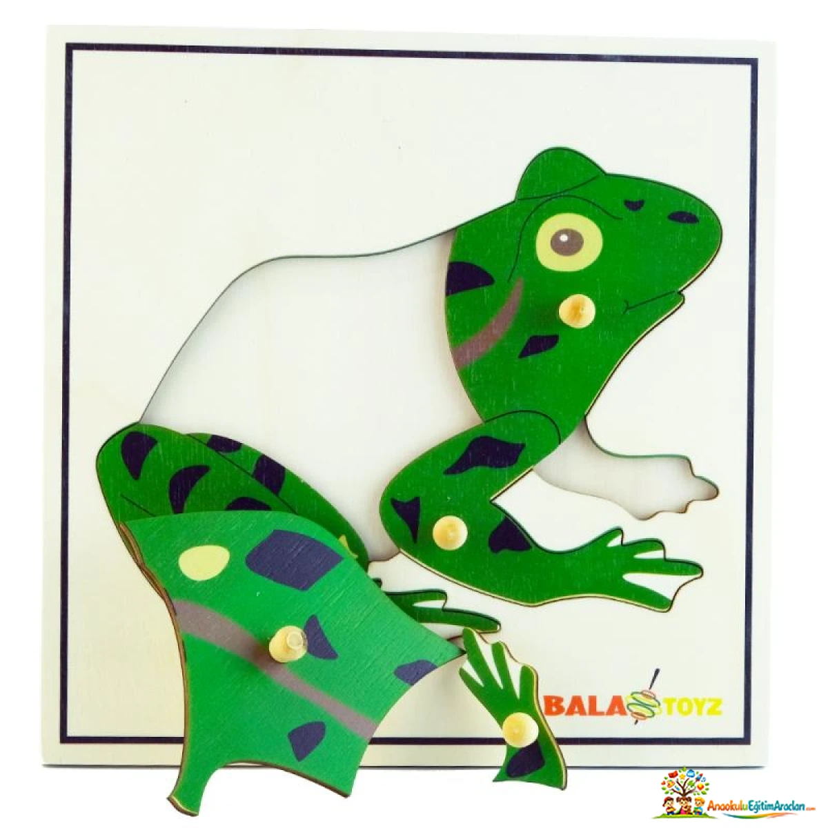Montessori Kurbağa Puzzle – Hayvan Anatomisi ve Kozmik Eğitim Materyali KBG-735