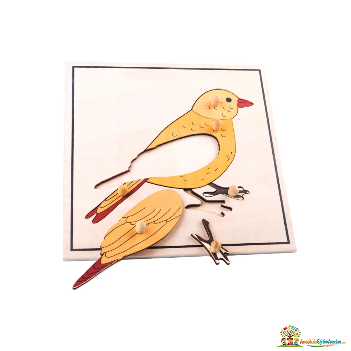 Montessori Kuş Puzzle – Hayvan Anatomisi ve Kozmik Eğitim Materyali KSP-852