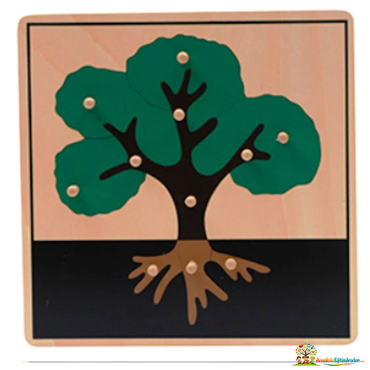 Montessori Bitkiler 5’li Puzzle Seti – Botanik ve Kozmik Eğitim Materyali BTP-864
