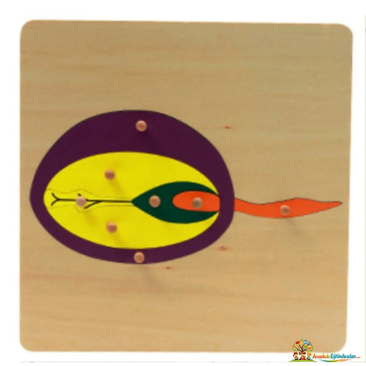 Montessori Bitkiler 5’li Puzzle Seti – Botanik ve Kozmik Eğitim Materyali BTP-864