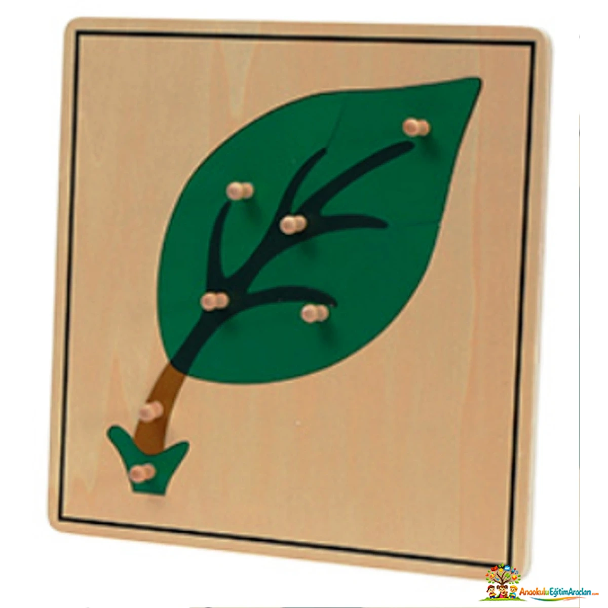 Montessori Bitkiler 5’li Puzzle Seti – Botanik ve Kozmik Eğitim Materyali BTP-864