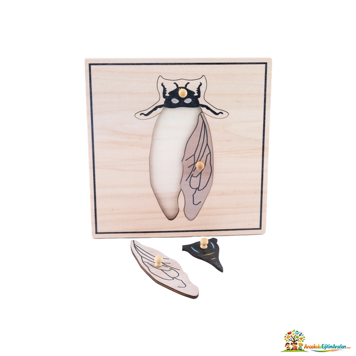 Montessori Sinek Puzzle – Böcek Anatomisi ve Kozmik Eğitim Materyali SNP-654