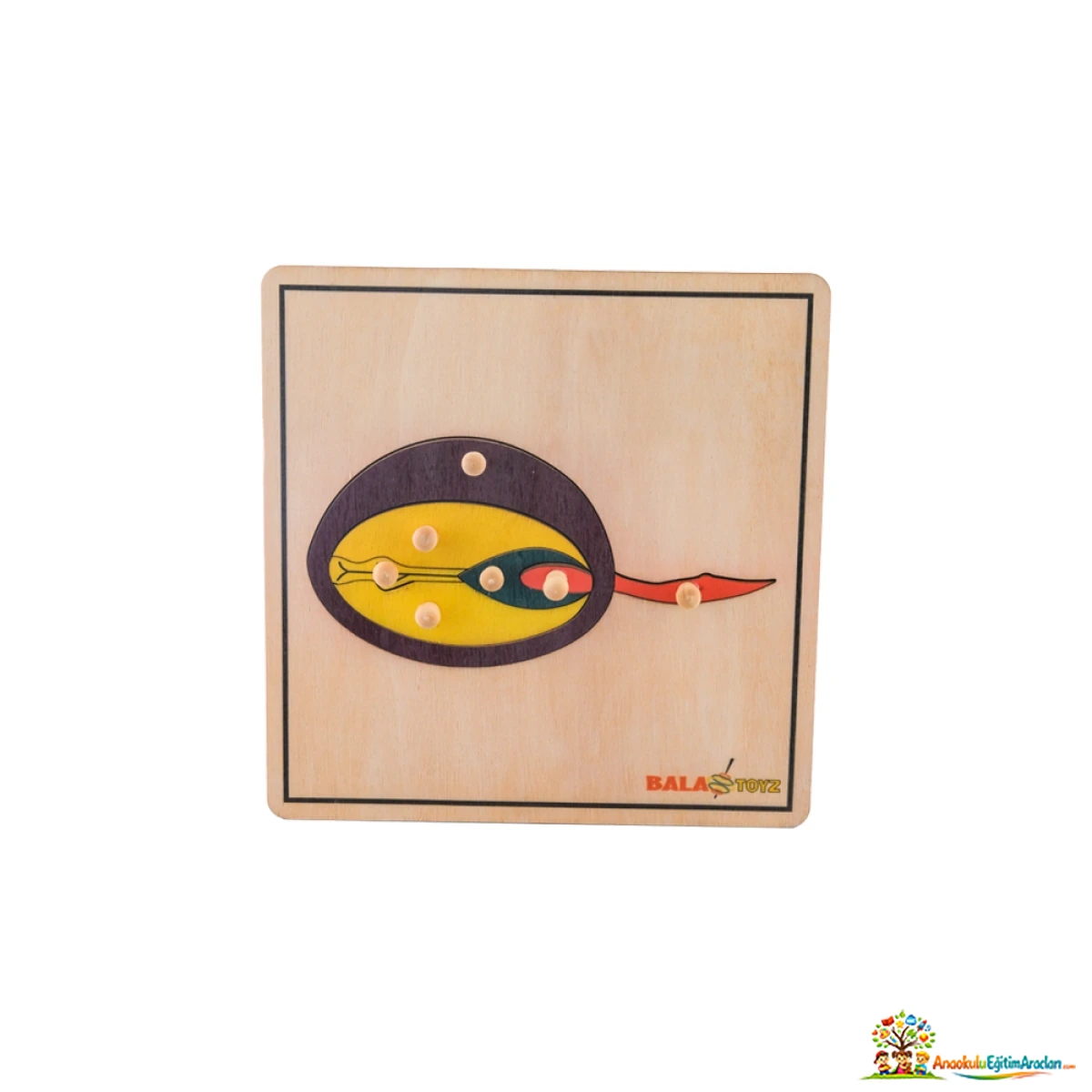 Montessori Tohum Filizlenme Puzzle – Bitki Yaşam Döngüsü ve Botanik Materyali TFP-867